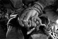 Large image illustration of The Execution 