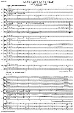 Large image illustration of LÅNGSAMT LANDSKAP 